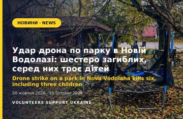 Drone strike on a park in Nova Vodolaha kills six, including three children