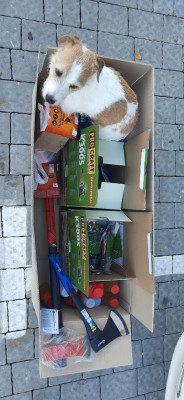 Algemeen rapport - oktober