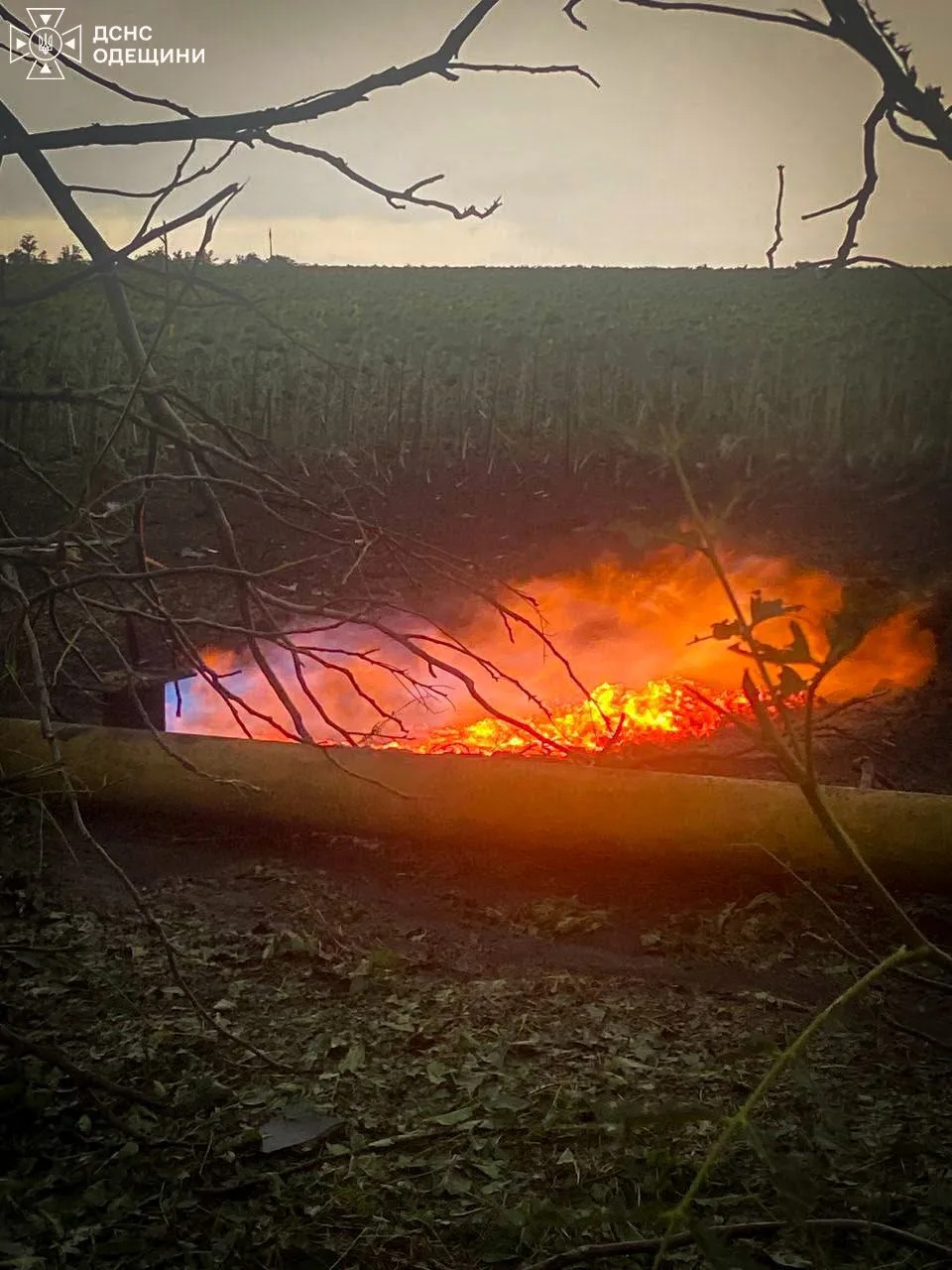 Пожежа вздовж пошкодженого газогону в полі
