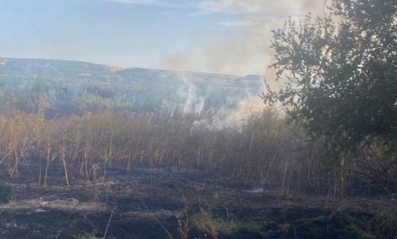Дим над полем поблизу Талмази, Молдова, після падіння ракети 17 серпня 2026 року