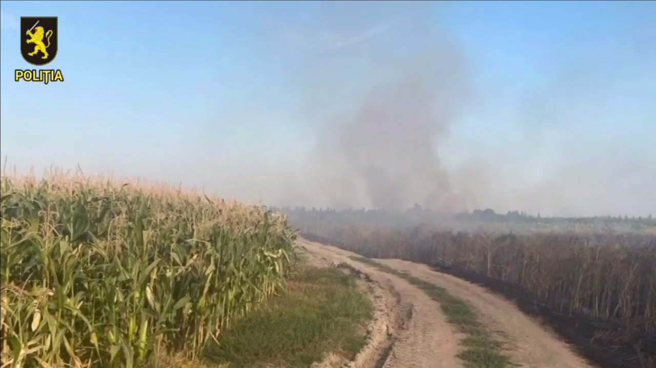 Кукурудзяне поле поблизу Талмази, пошкоджене пожежею після вибуху